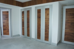 Modern Aluminum Custom Double Door